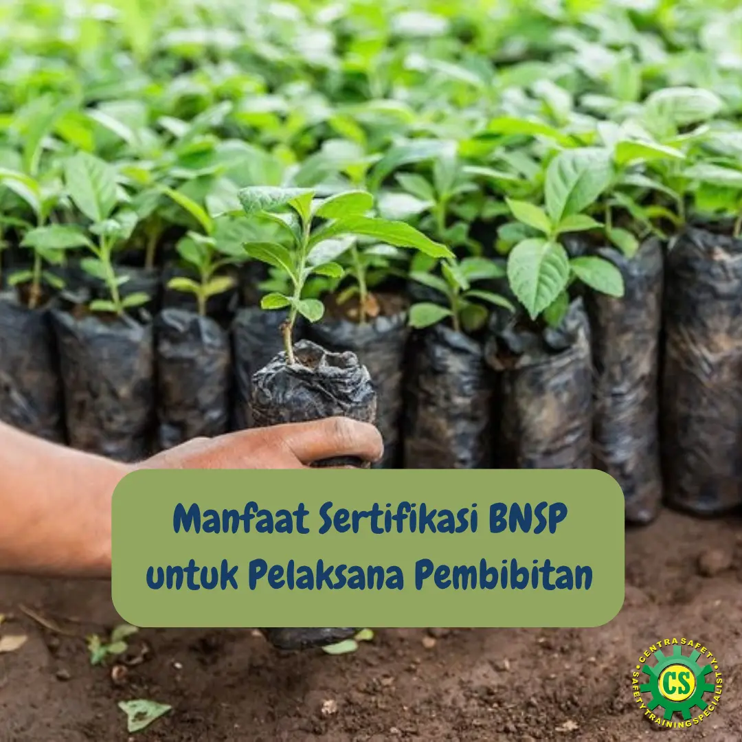Manfaat Sertifikasi BNSP untuk Pelaksana Pembibitan